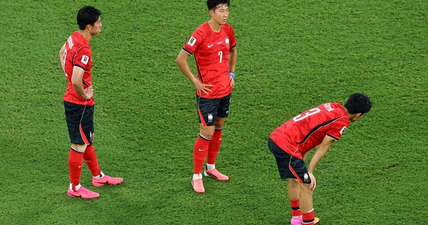 OK9 và làn sóng thất vọng sau kỳ World Cup tệ nhất lịch sử của Hàn Quốc - hình ảnh - appok9.vip