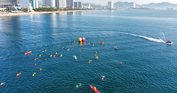 OK9 đồng hành cùng giải bơi biển SeaStar Nha Trang Bay 2026 - hình ảnh - appok9.vip