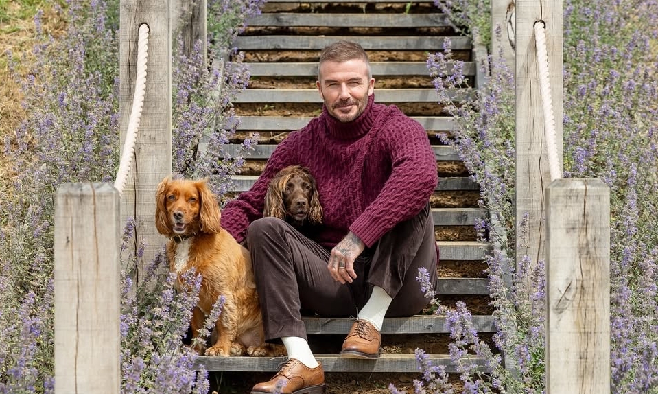 OK9 slot game và phong cách thời thượng của David Beckham: Cảm hứng cho người chơi sành điệu - hình ảnh - appok9.vip